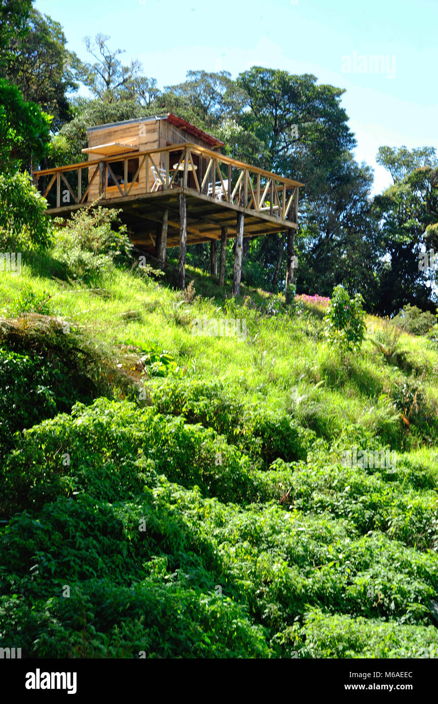 Coffee hut on Bosque Caricias, a private ecological reserve, located in Concepción de San Isidro de Heredia. Stock Photo
