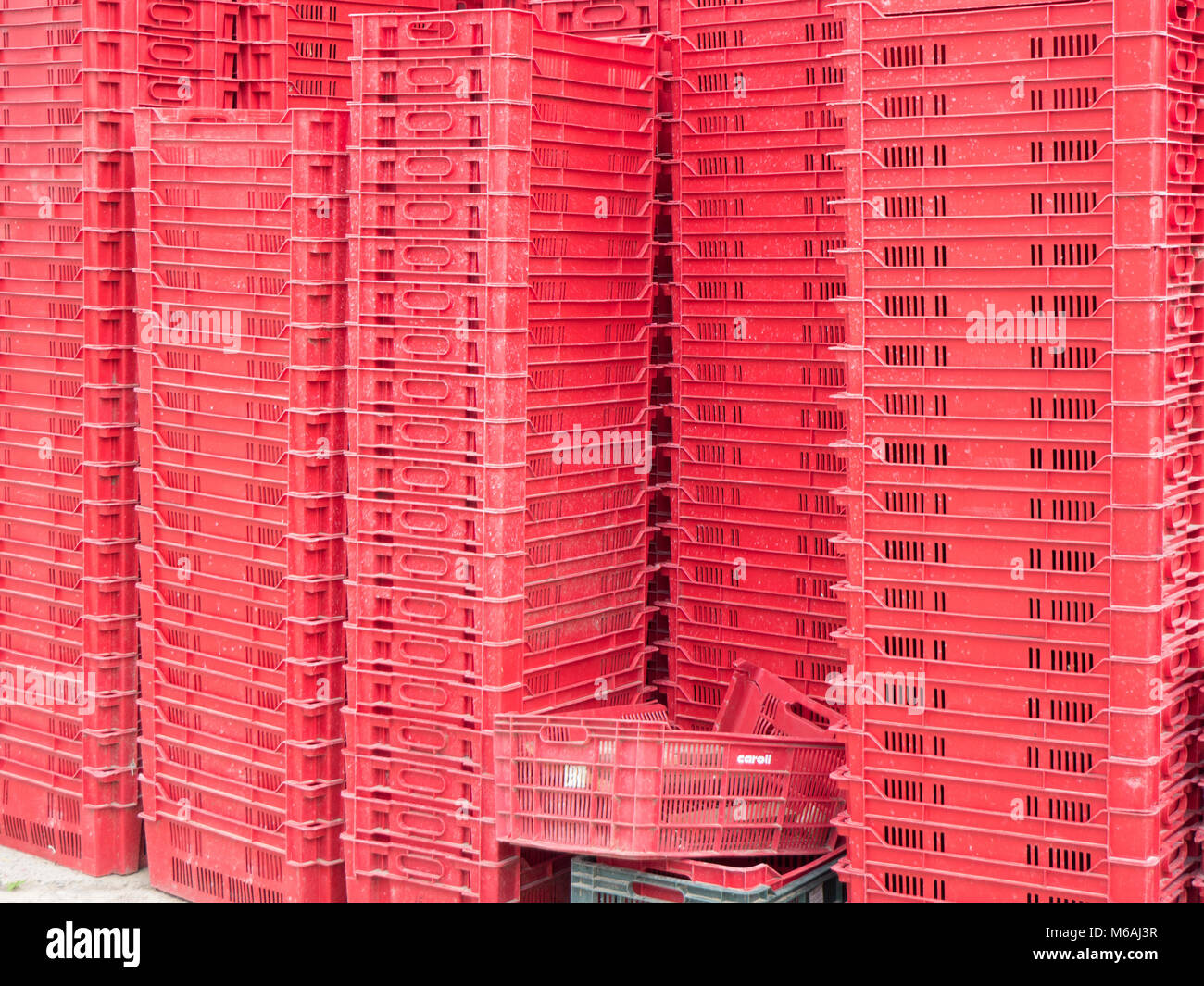 Vineyard harvest boxes Stock Photo - Alamy