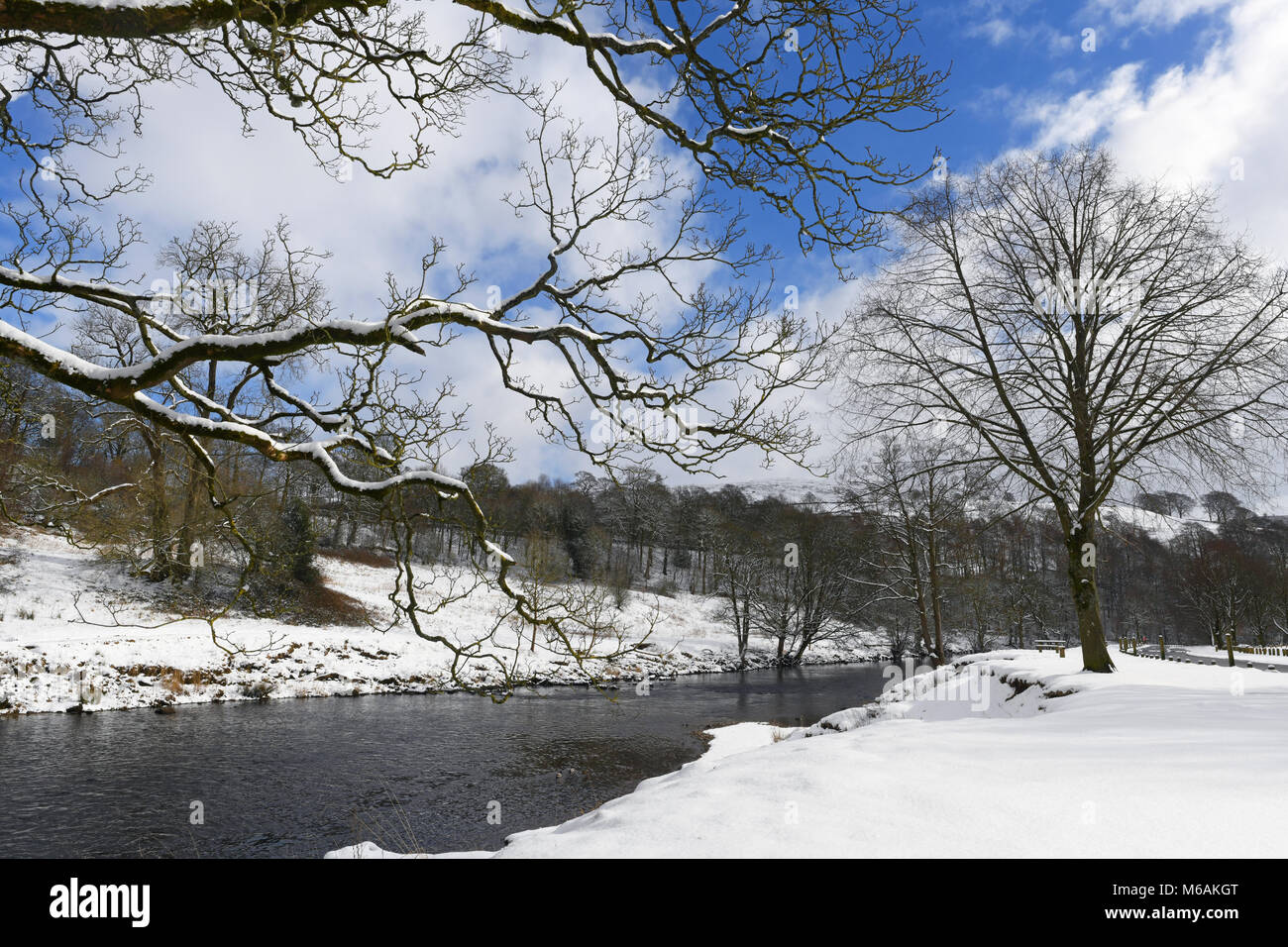river wharfe flowing through winter landscape at bolton abbey wharfedale yorkshire dales united kingdom Stock Photo