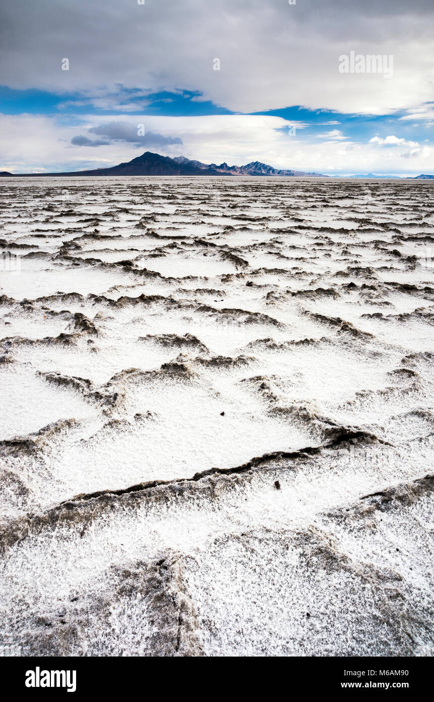 Crusted salt plates in Bonneville Salt Flats State Park, sunset, Silver Island Mountains in distance, Great Salt Lake Desert, near Wendover, Utah, USA Stock Photo