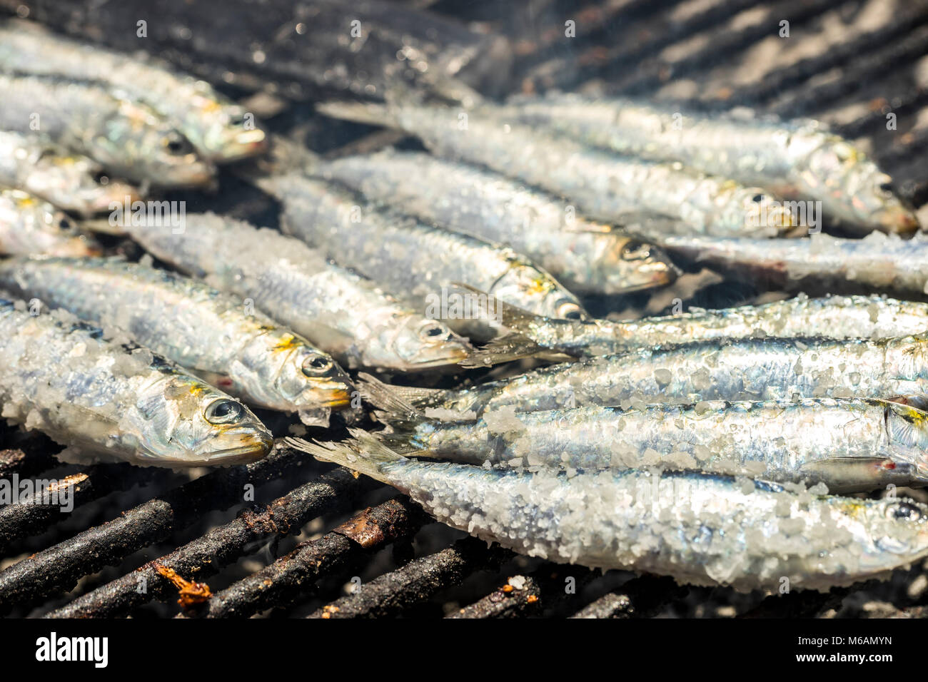 Grilled sardines portugal hires stock photography and images Alamy