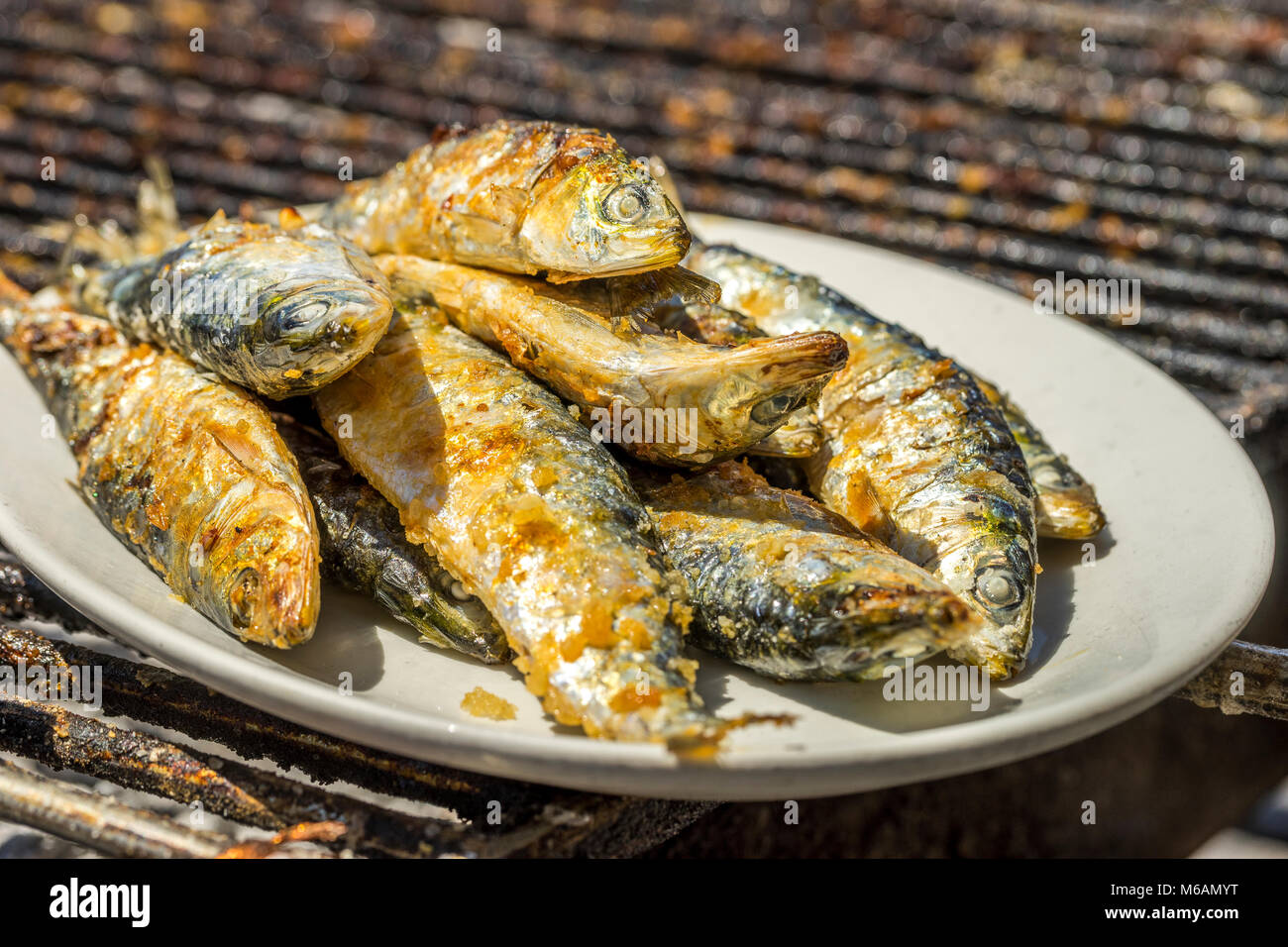 Barbecued sardines, traditional Portuguese food, Porto, Portugal Stock Photo