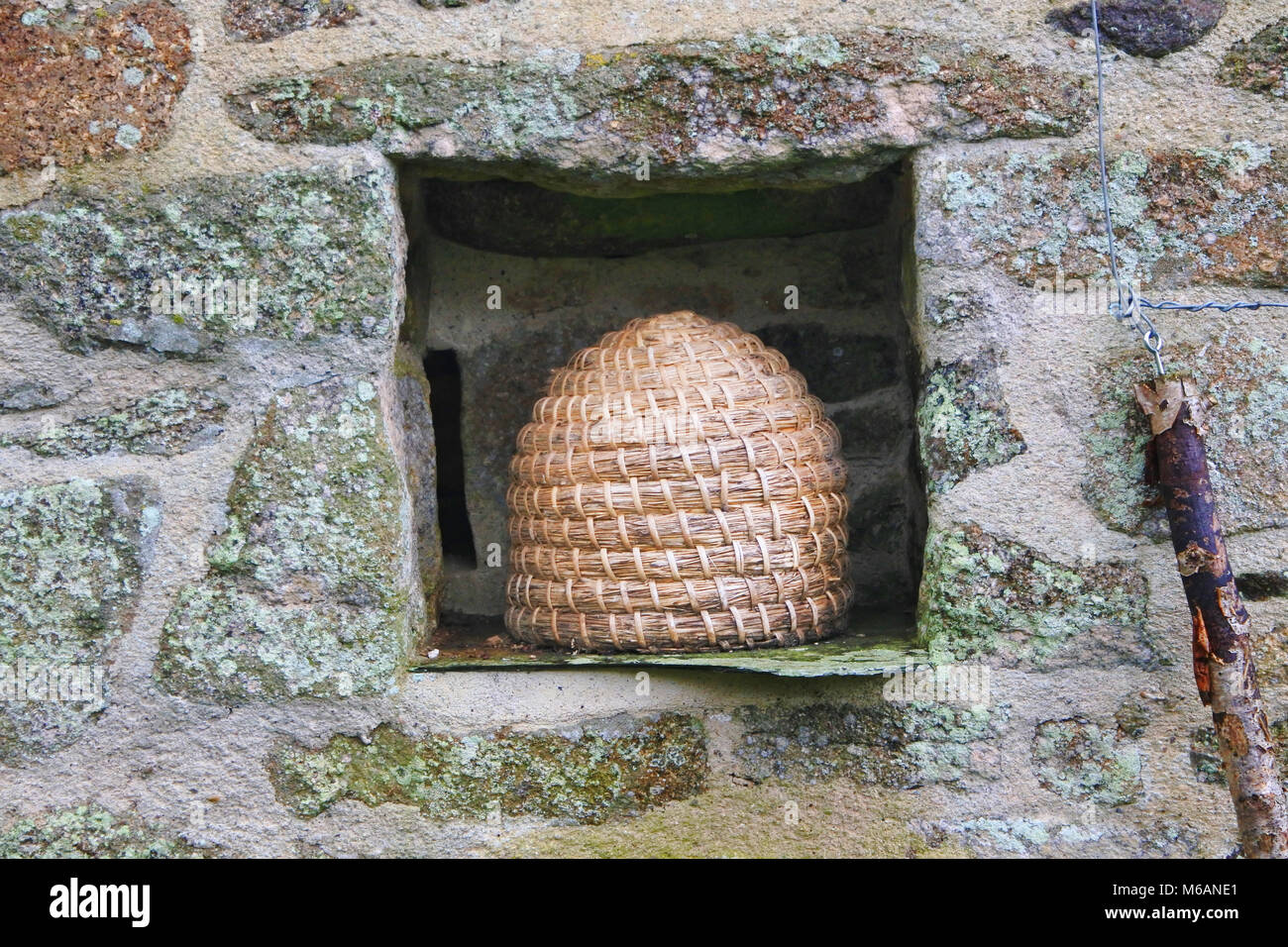 A traditional beehive or skep in an English winter country garden - John Gollop Stock Photo