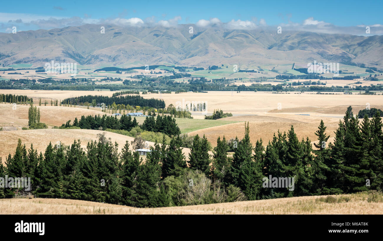 Canterbury Plains Region, South Island, New Zealand Stock Photo