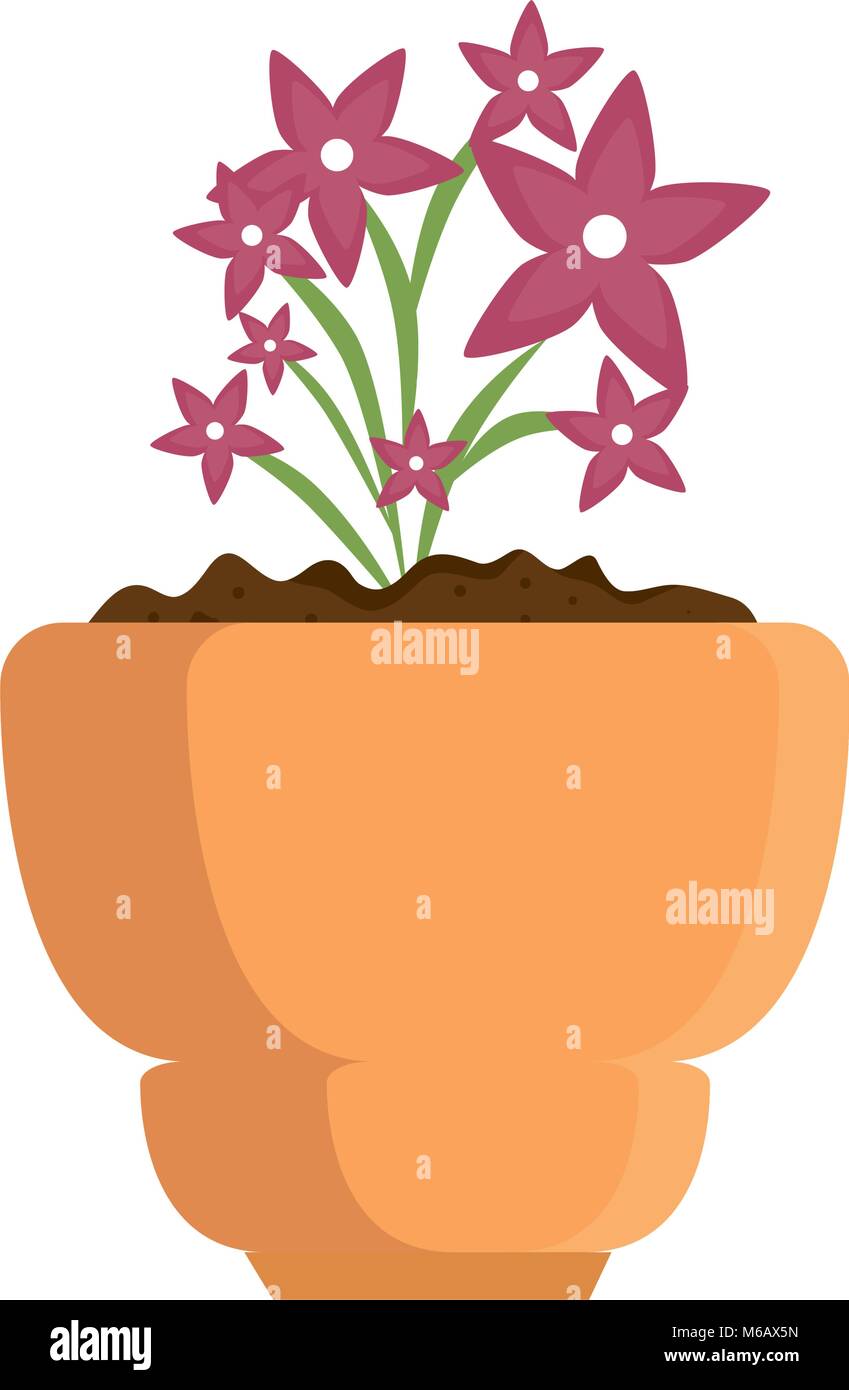 beautiful houseplant with flowers in pot Stock Vector Image & Art - Alamy
