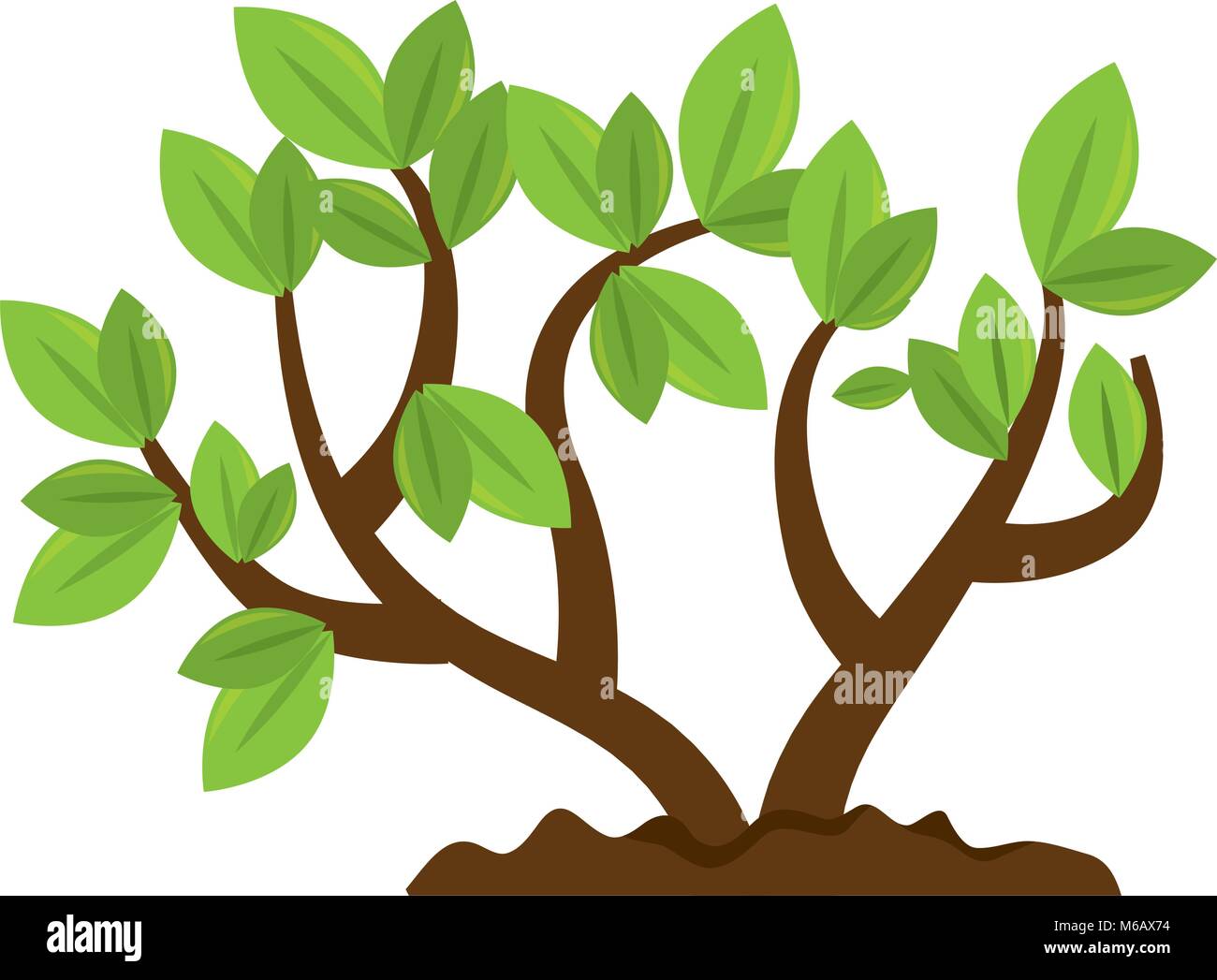 beautiful tree plant cultivated Stock Vector Image & Art - Alamy