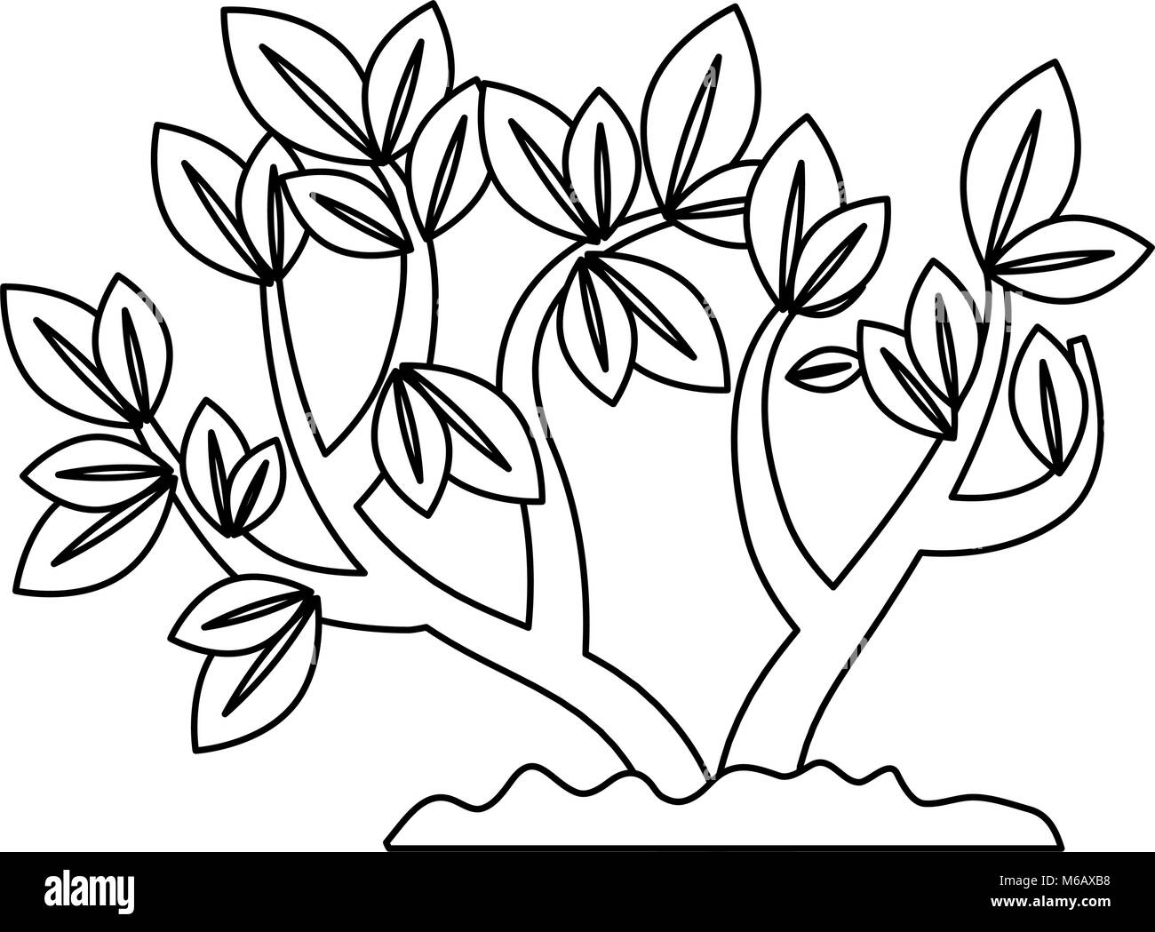 beautiful tree plant cultivated Stock Vector Image & Art - Alamy