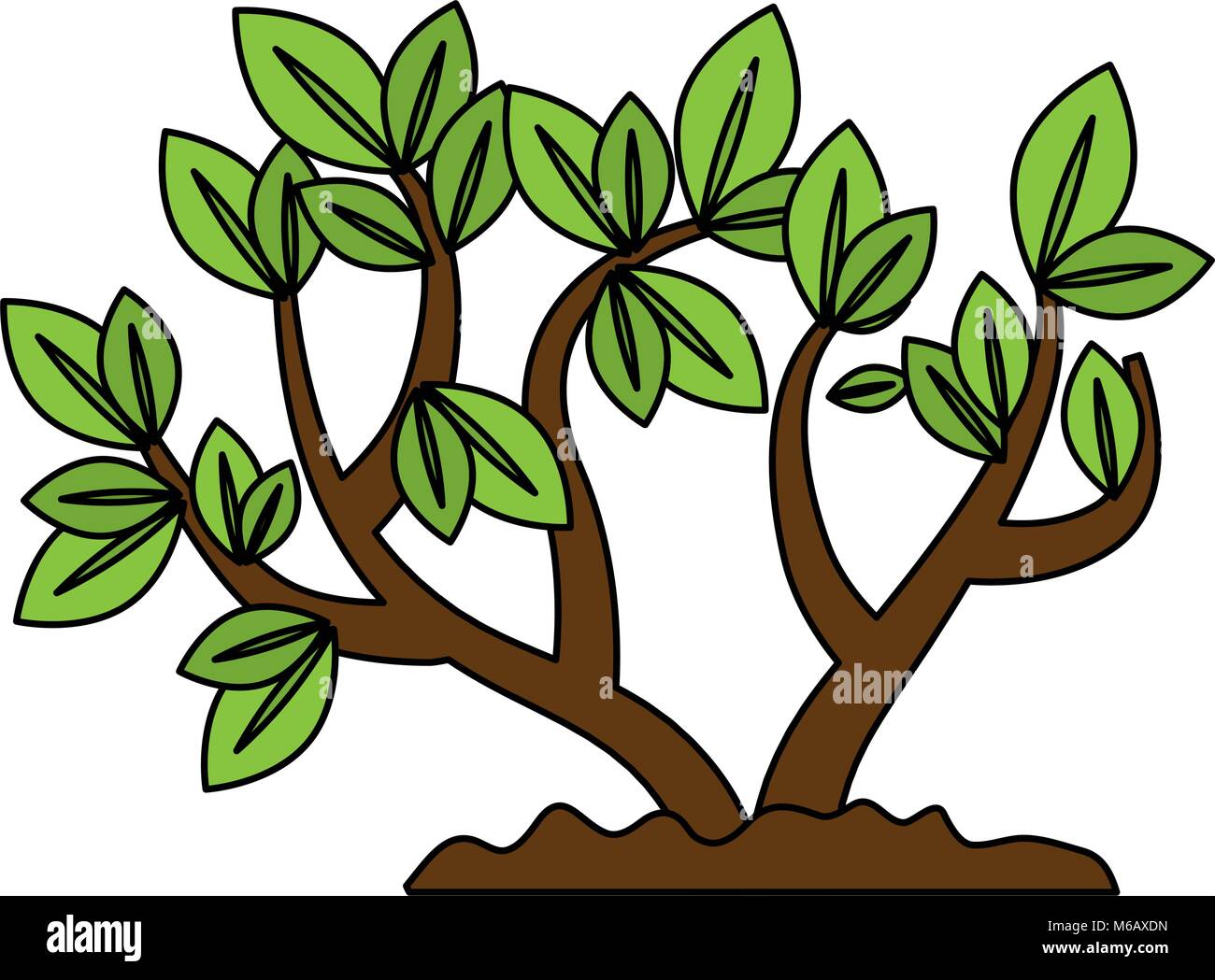 beautiful tree plant cultivated Stock Vector Image & Art - Alamy