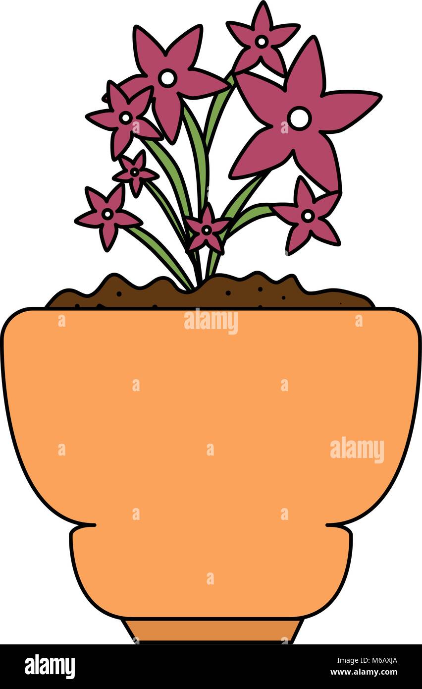 beautiful houseplant with flowers in pot Stock Vector Image & Art - Alamy