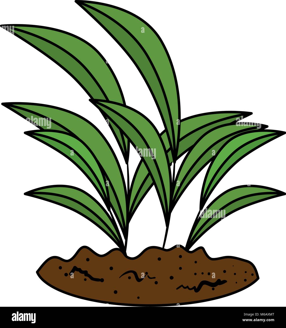 beautiful tree plant cultivated Stock Vector Image & Art - Alamy