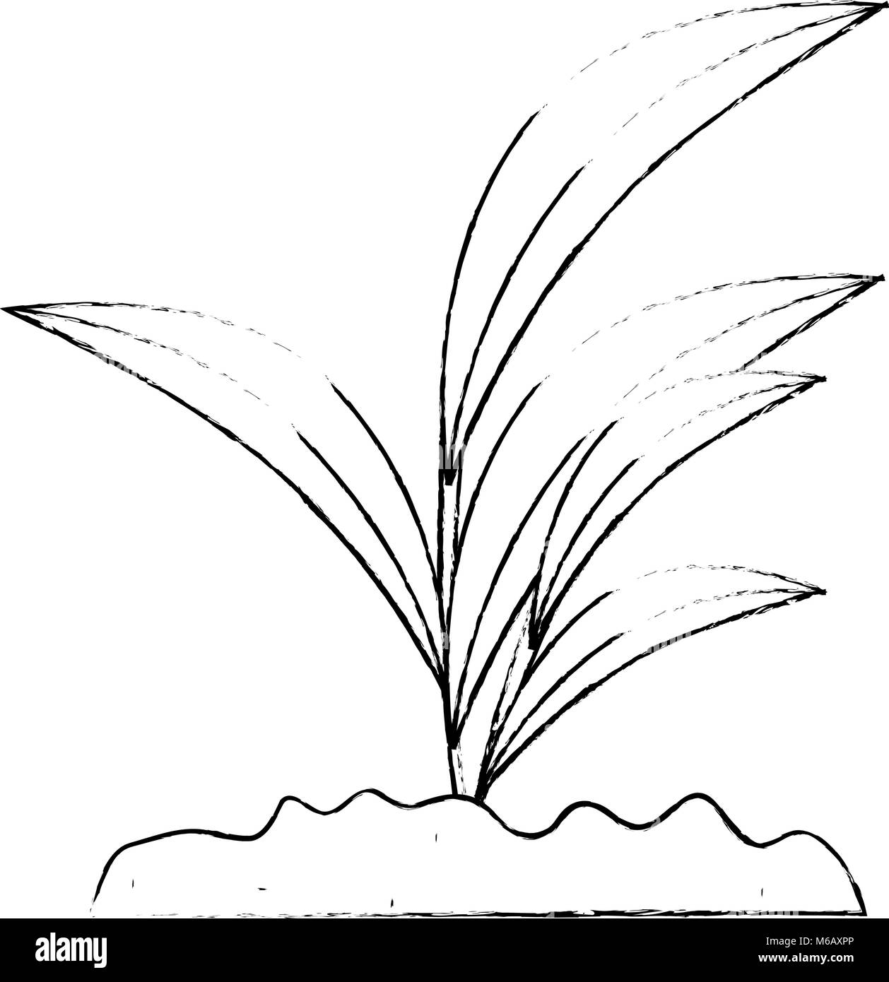 beautiful tree plant cultivated Stock Vector Image & Art - Alamy