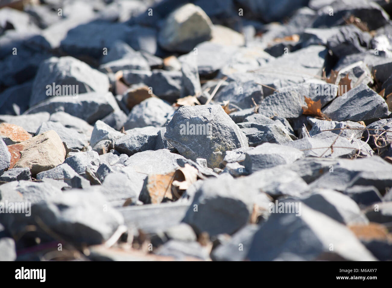 Close up of sharp, gray gravel rocks and leaves Stock Photo - Alamy