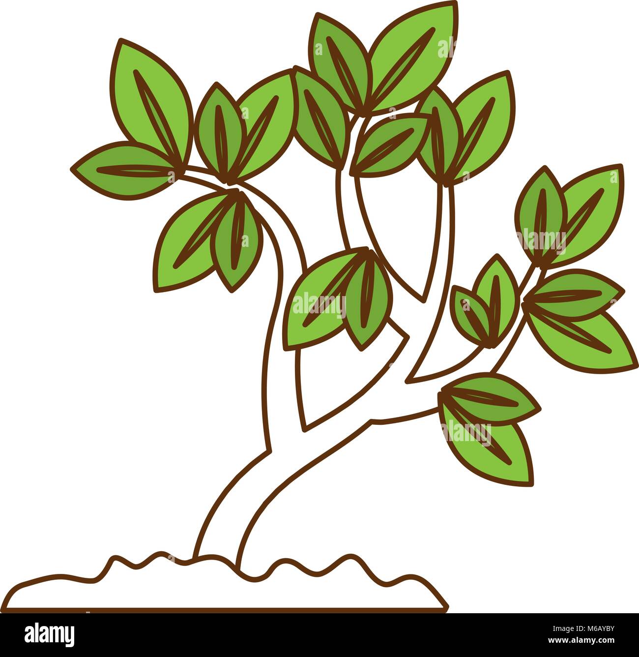 beautiful tree plant cultivated Stock Vector Image & Art - Alamy