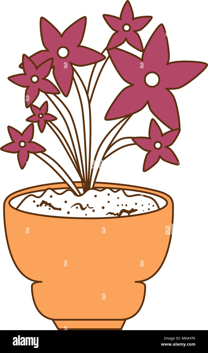 beautiful houseplant with flowers in pot Stock Vector Image & Art - Alamy