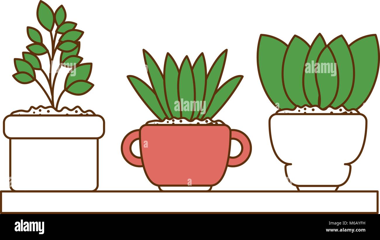 beautiful houseplants set in wooden shelf Stock Vector Image & Art - Alamy