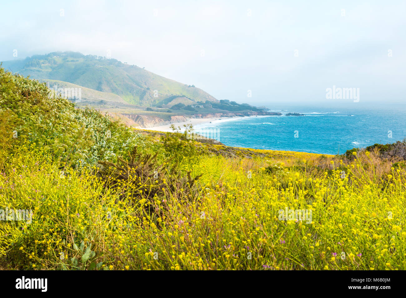 Beautiful Pacific Ocean coastline in Big Sur, California Stock Photo ...