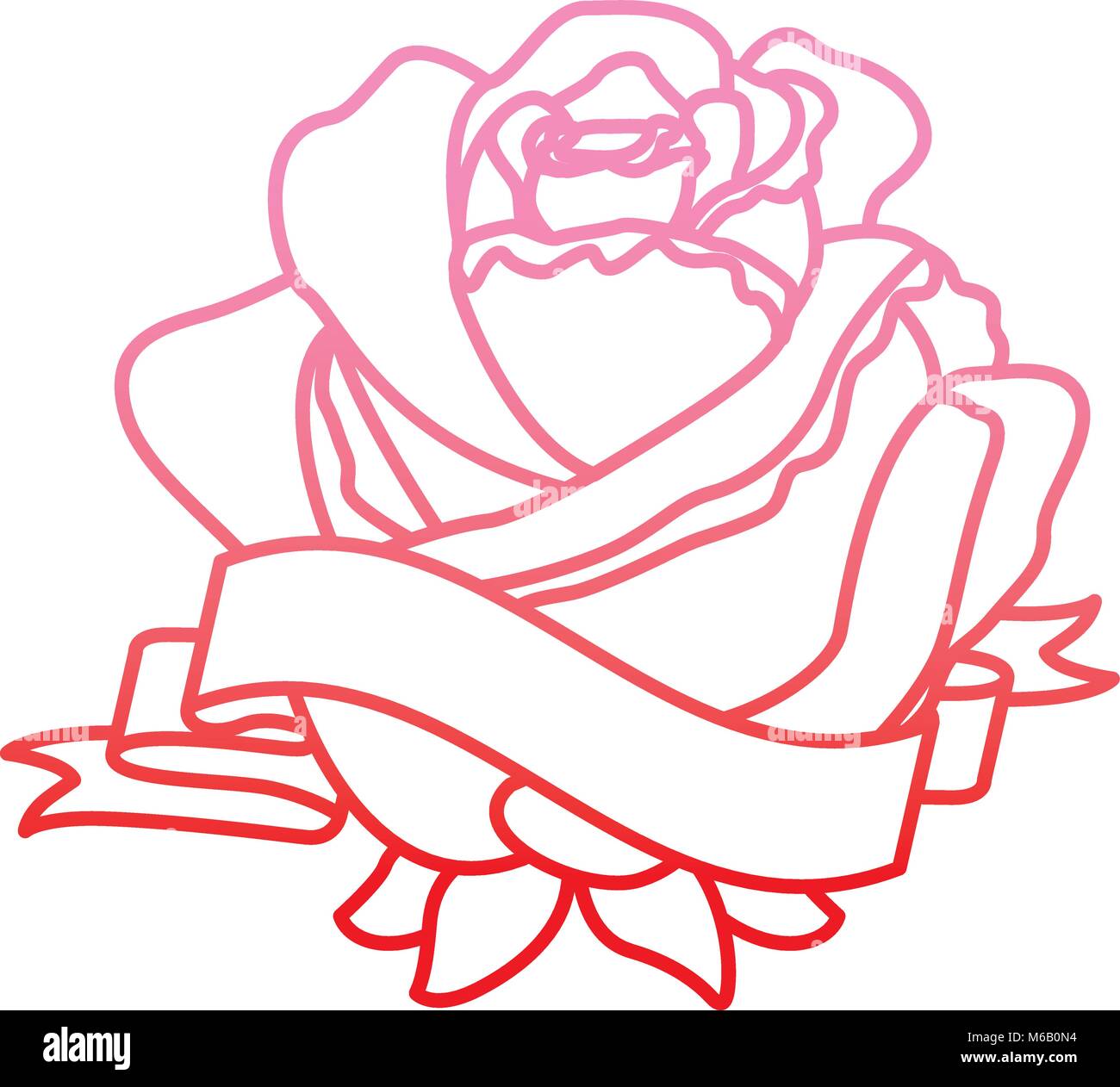 red rose flower ribbon decoration delicate vector illustration sketch image  Stock Vector