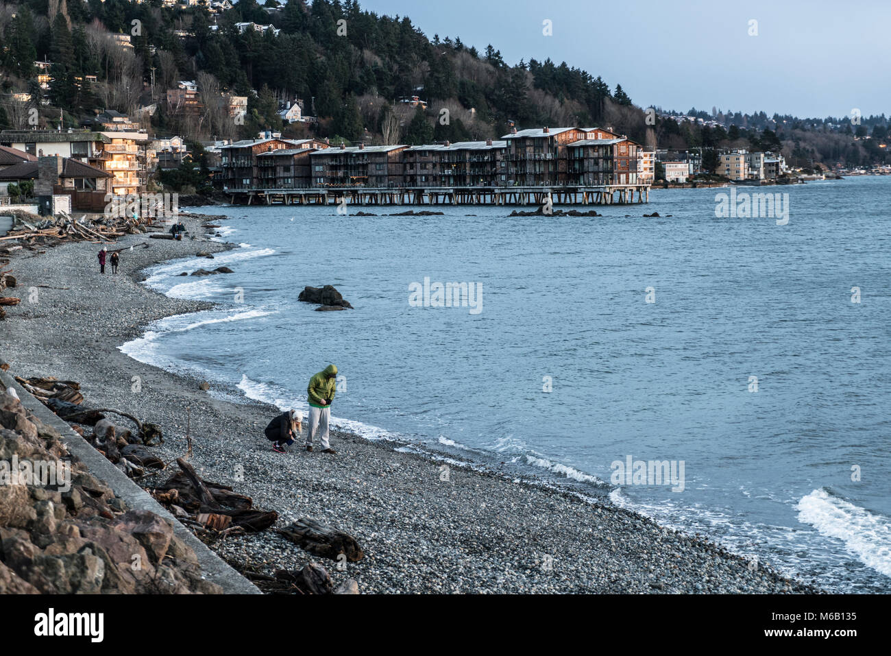 Beach combing, Alki Point, Seattle, Washington, USA Stock Photo