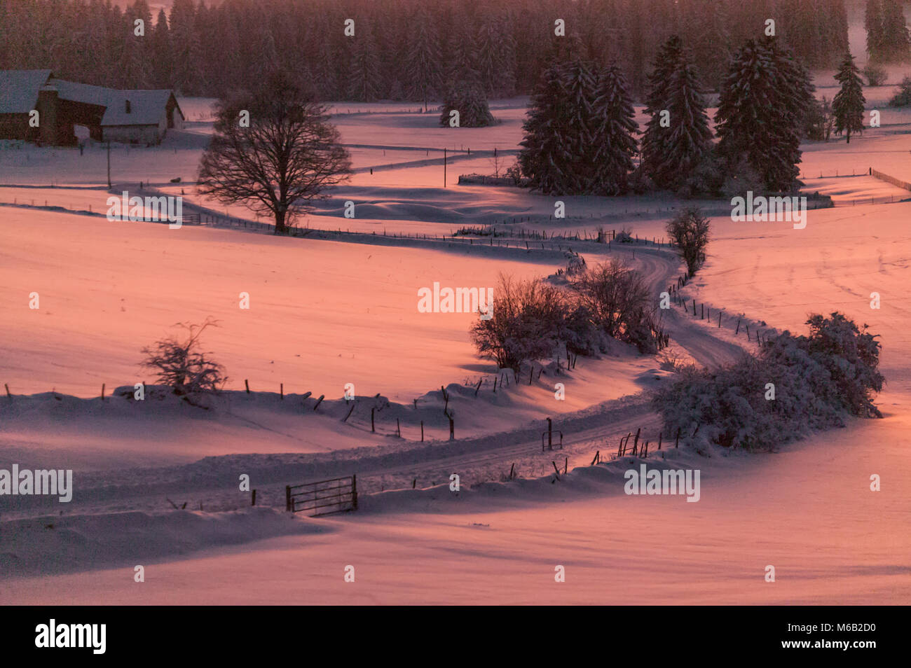 A farm with a barn in a snowscape, Jura Mountains of Switzerland Stock Photo