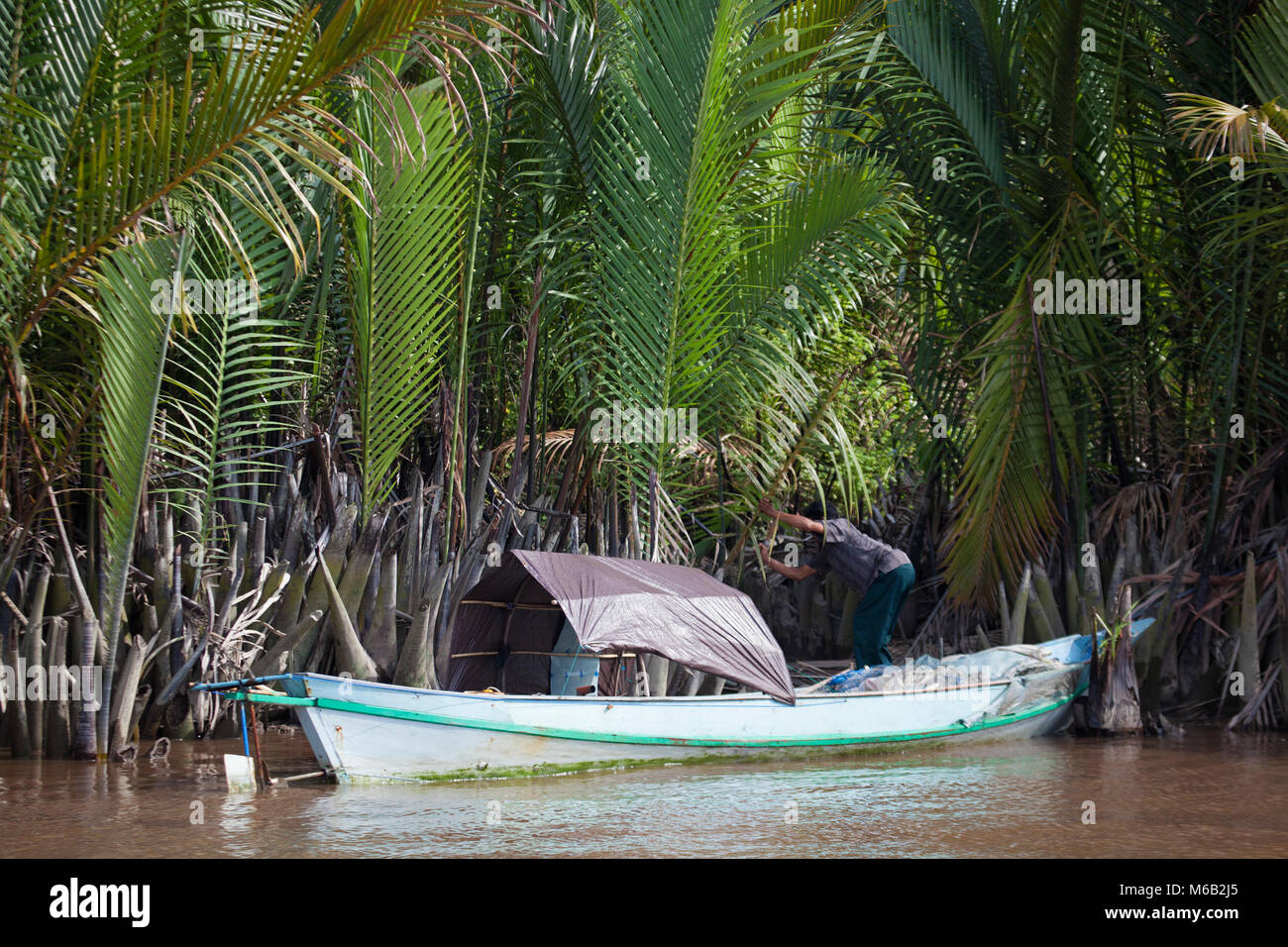 Nipa palm hi-res stock photography and images - Alamy
