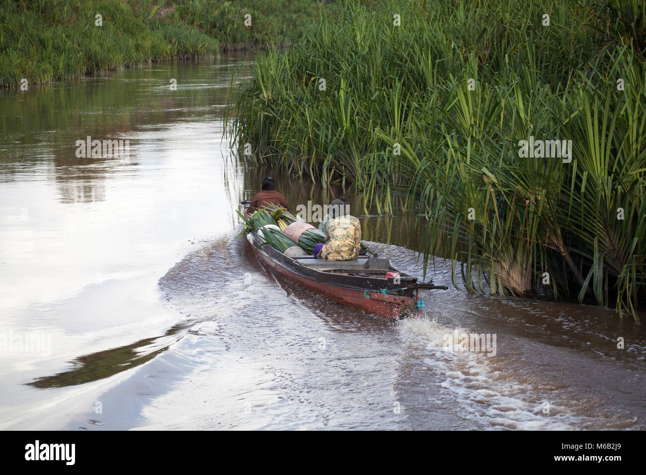Indonesians transporting harvested Nipa Palm fronds (Nypa fruticans) by boat along the Sekonyer River in Central Kalimantan, Borneo Stock Photo