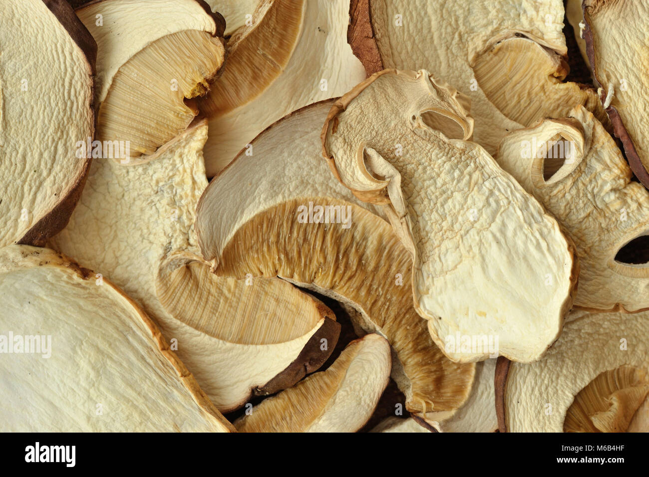 Dried porcini mushrooms background Stock Photo Alamy