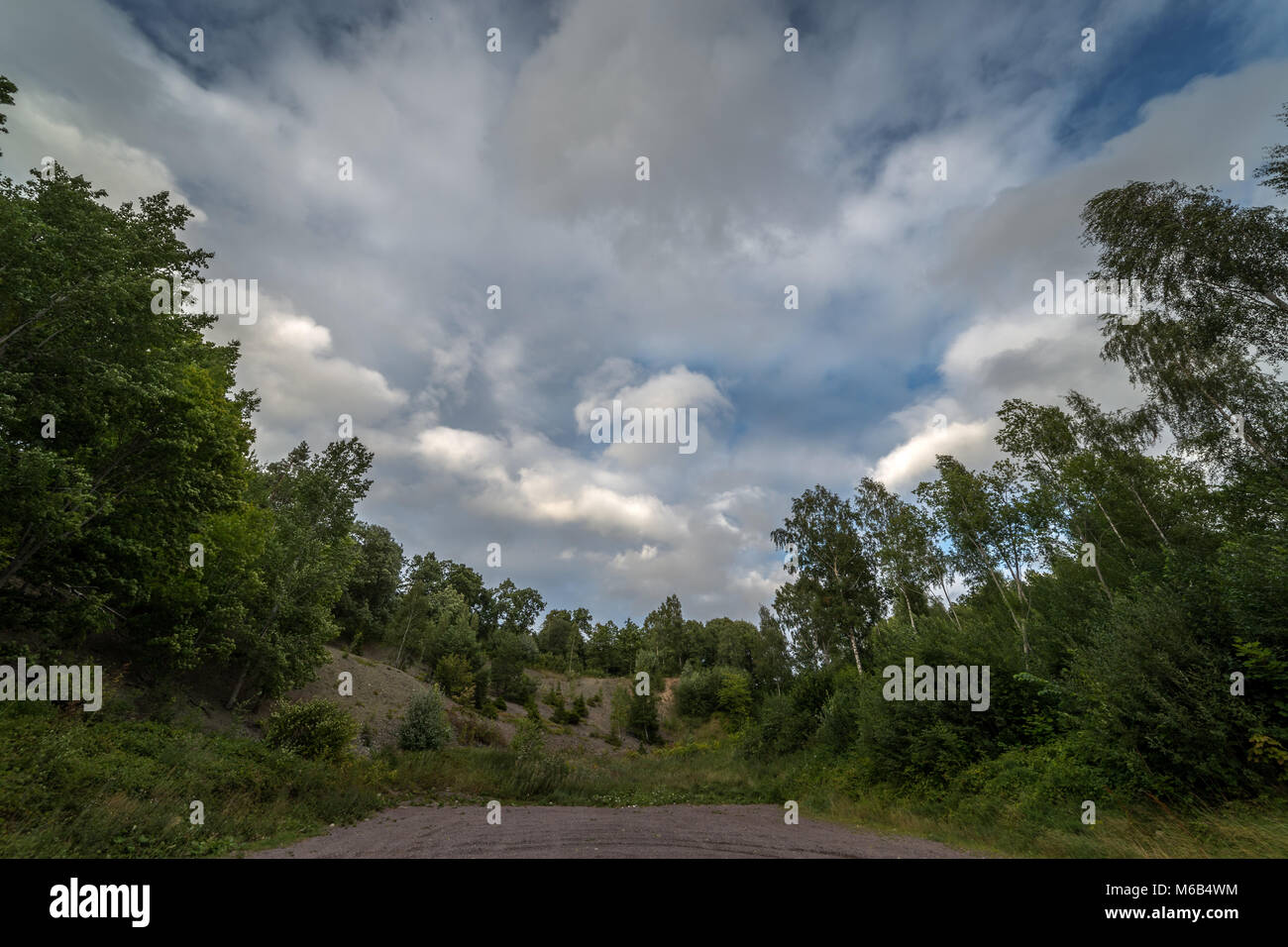 White clouds and blue sky with green summer forrest Stock Photo - Alamy