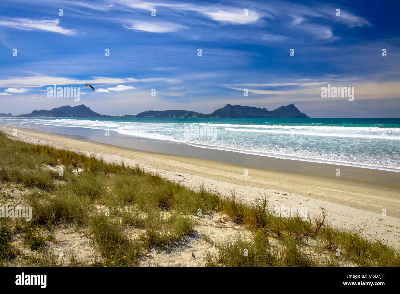 Waipu Beach New Zealand Stock Photo - Download Image Now - Bay of