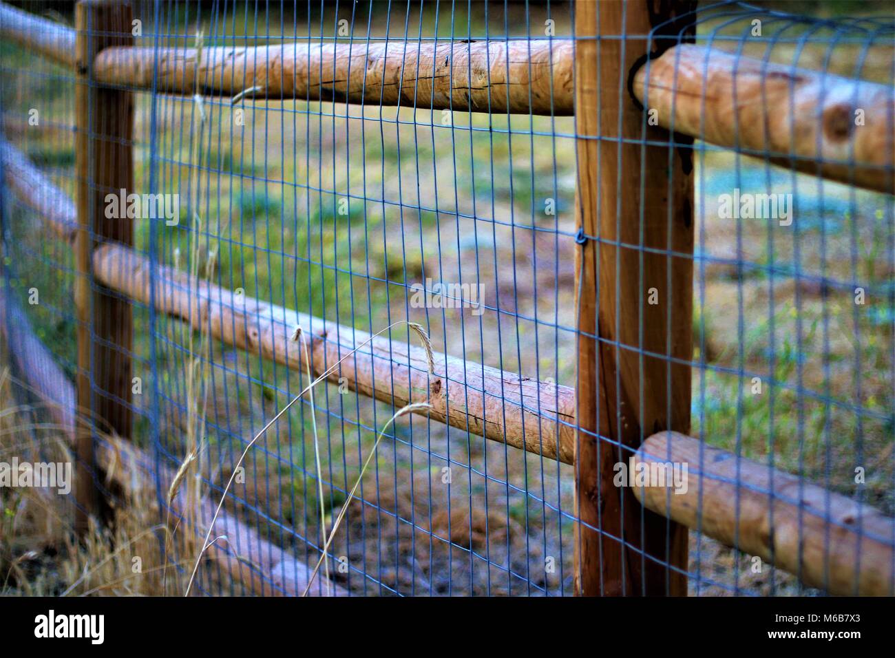 Timber post and rail fence hi-res stock photography and images - Alamy
