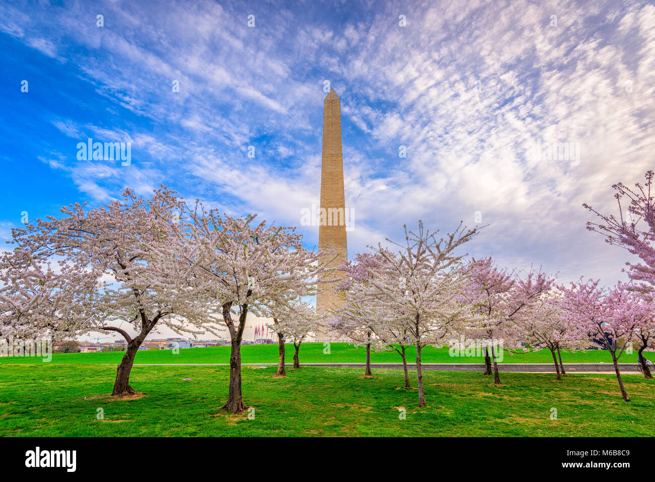 Washington DC, USA in spring season. Stock Photo