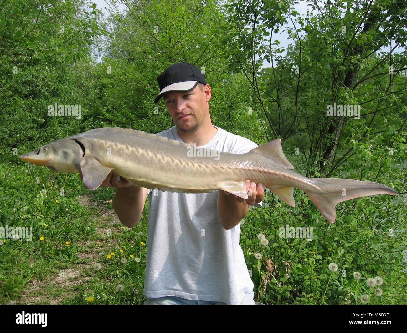 sturgeon fishing pole