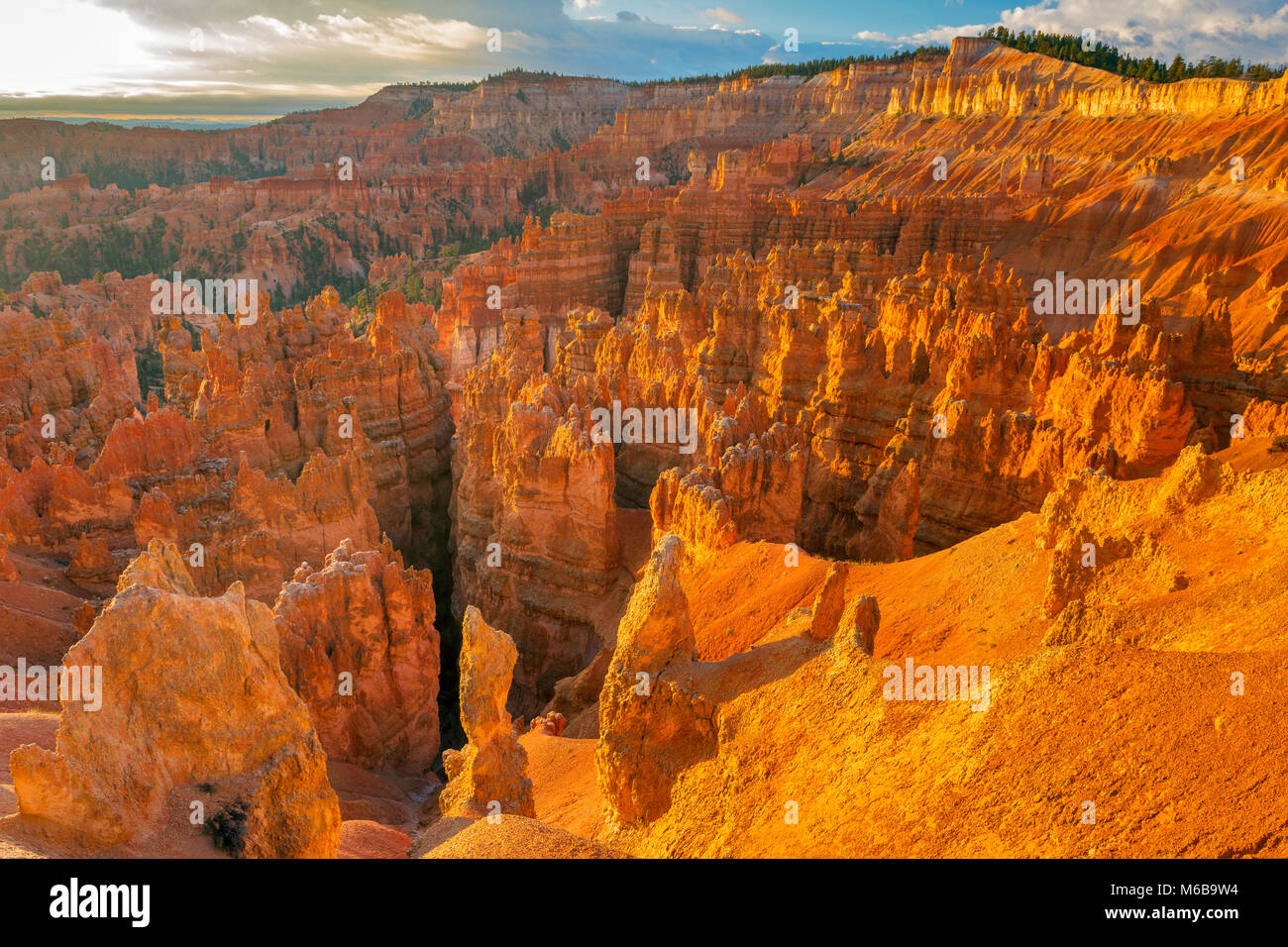 Sunrise, Hoodoos, Wall Street, Bryce Canyon National Park, Utah Stock Photo