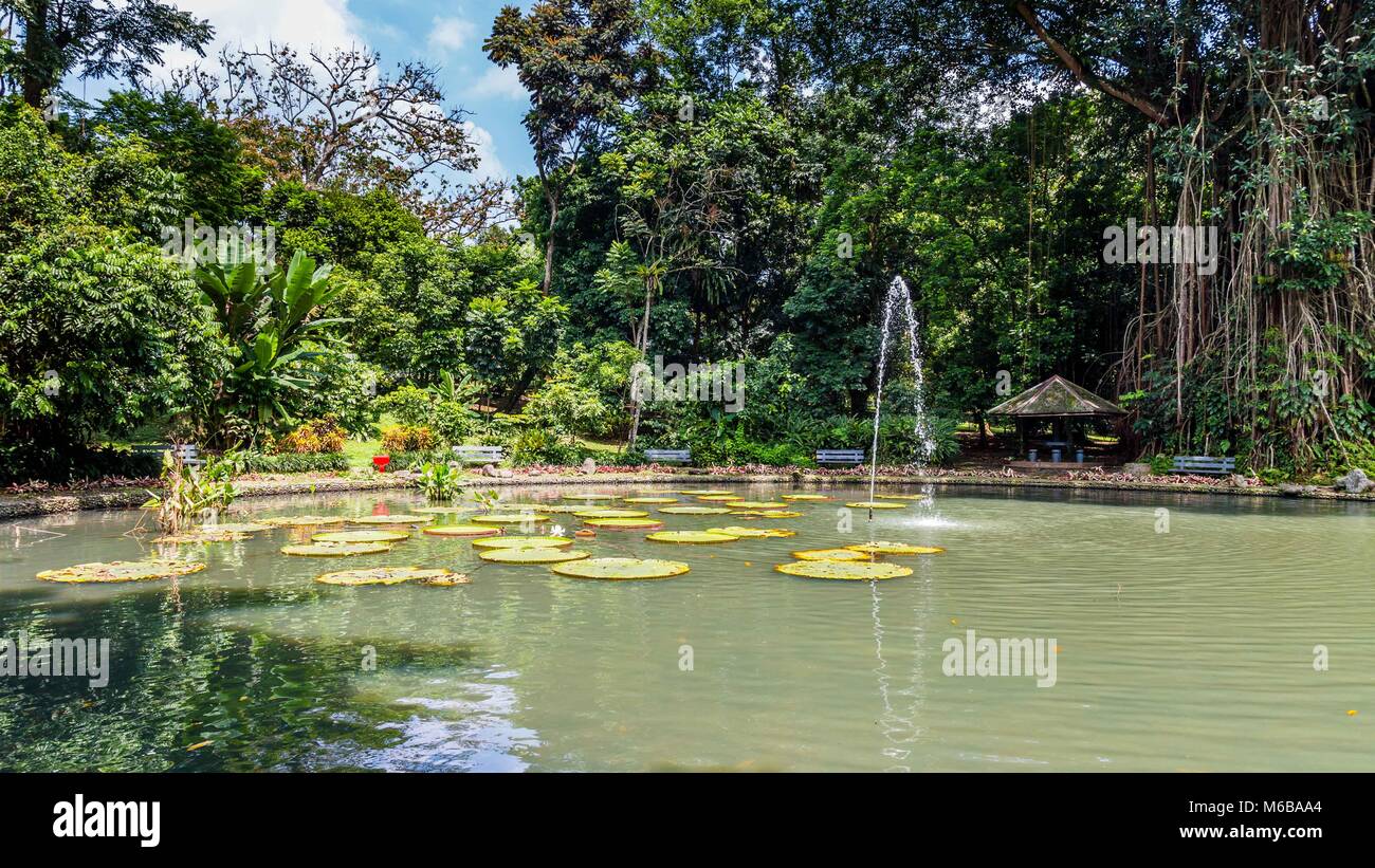 Botanical gardens Kebun Raya in Bogor, West Java, Indonesia Stock Photo ...