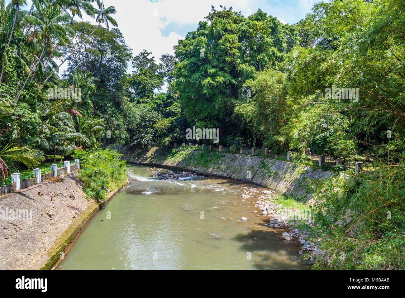 Botanical gardens Kebun Raya in Bogor, West Java, Indonesia Stock Photo ...