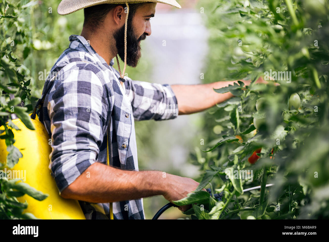 Young farmer protecting his plants with chemicals Stock Photo