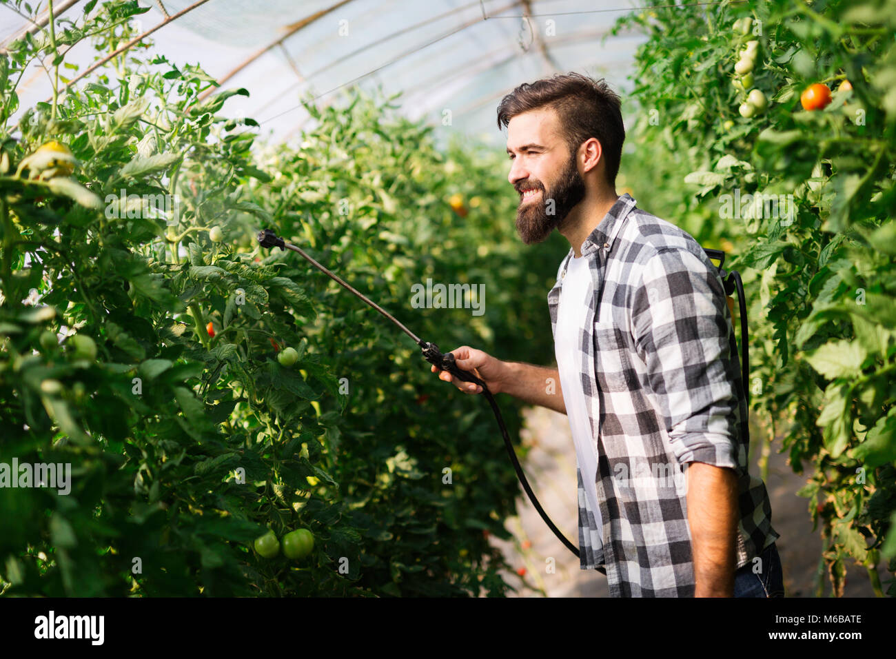 Young farmer protecting his plants with chemicals Stock Photo