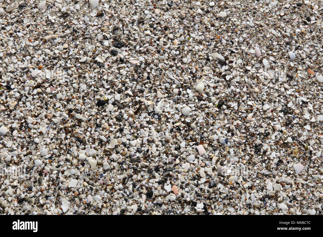 Beach sand with shell pieces - sandy coast in Norway. Background texture. Stock Photo