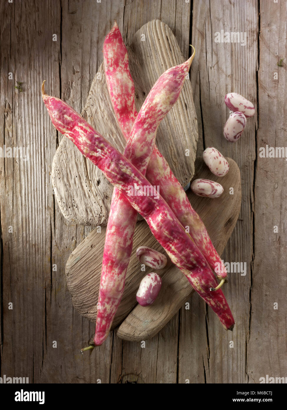 Fresh picked borlotti beans  also known as the cranberry bean or Roman bean Stock Photo