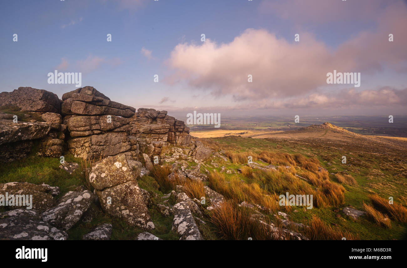 Looking at Belstone Tor from Higher Tor at sunrise Dartmoor National Park Stock Photo