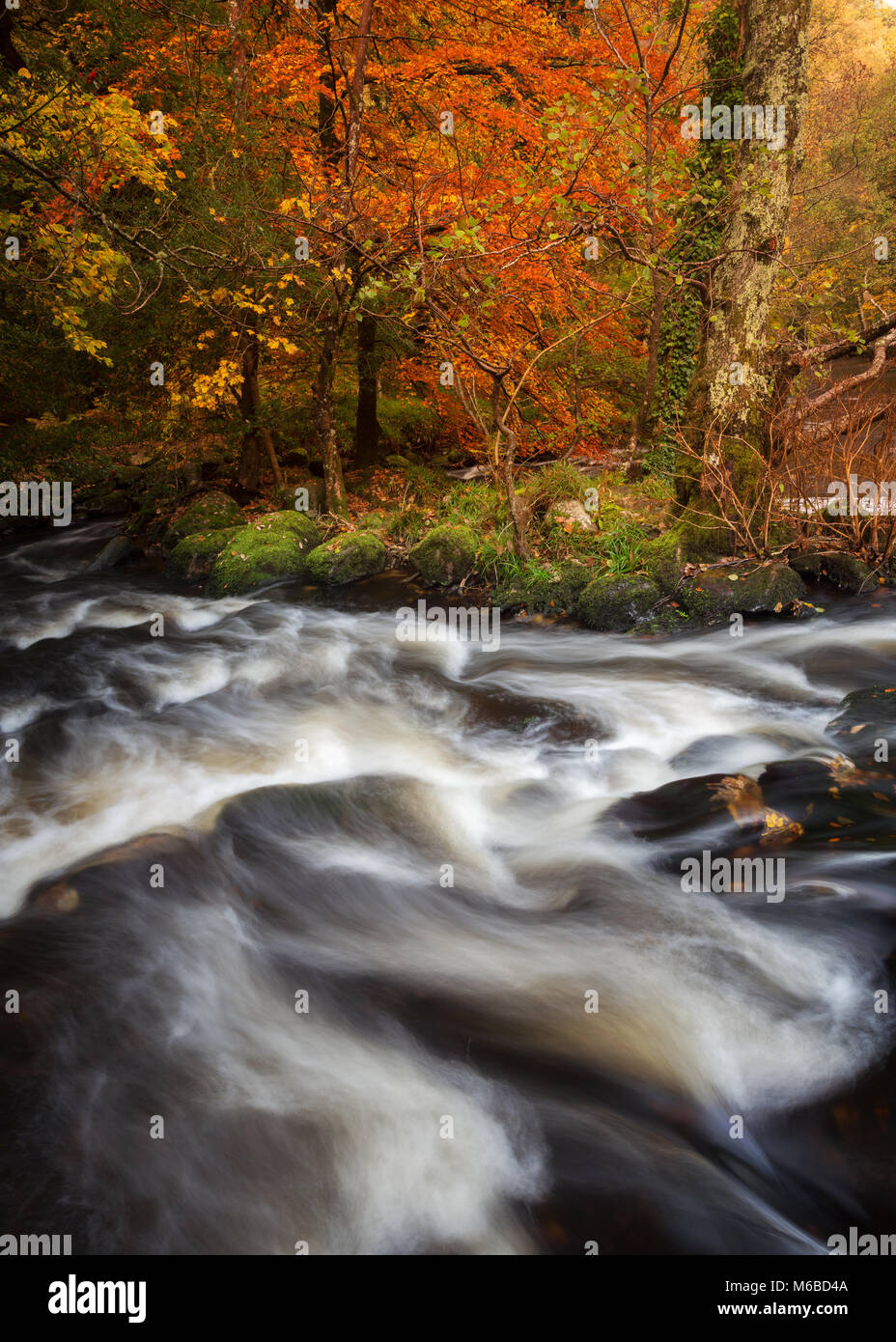Fast flowing river rocks trees hi-res stock photography and images - Alamy
