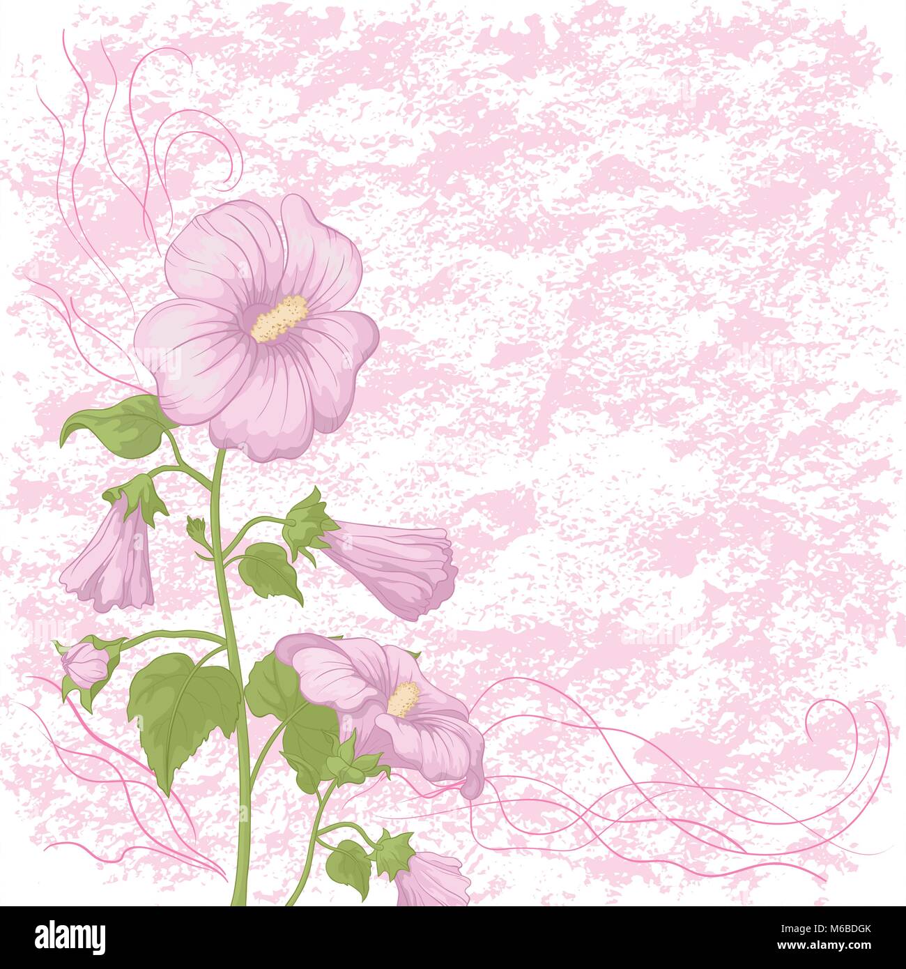 Holiday background with mallow flowers Stock Vector