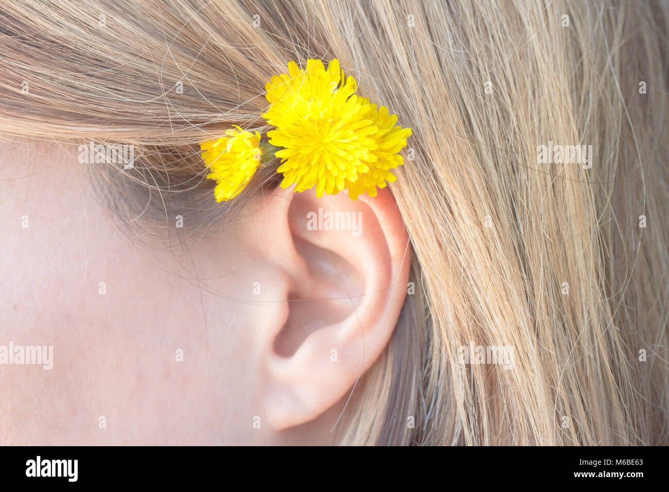 female human ear close up, with blonde hair and yellow flowers Stock Photo