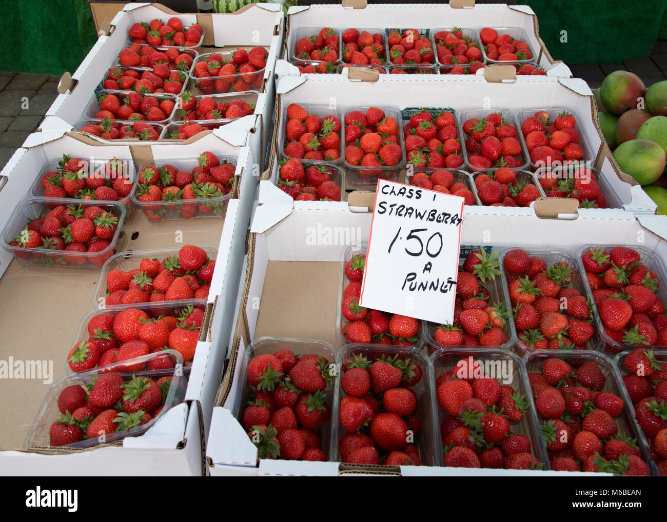 Locally grown strawberries, fresh from the farm, for sale on a marklet stall Stock Photo Alamy