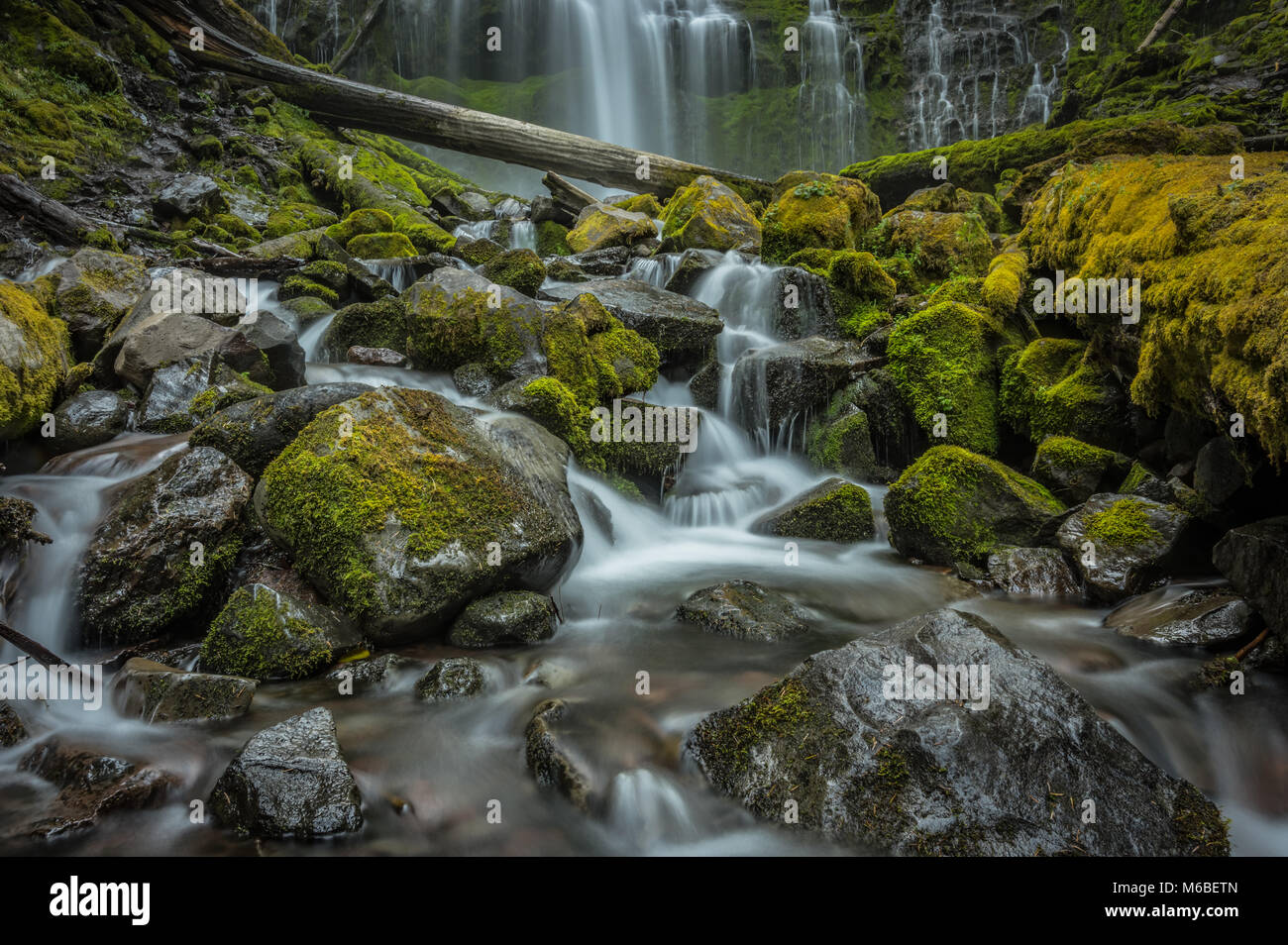 Mossy Rocks Fall Low Angle of Mossy Rocks at Proxy Falls Stock Photo - Alamy