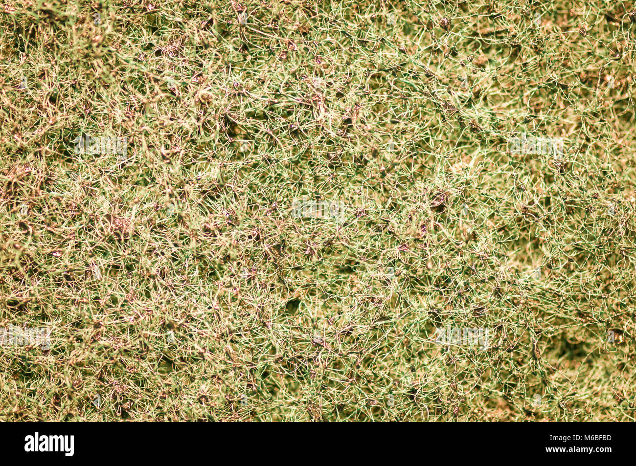A full frame macro image of an unused Kitchen Scourer showing the roughness of the surface.  31 December 2014 Stock Photo