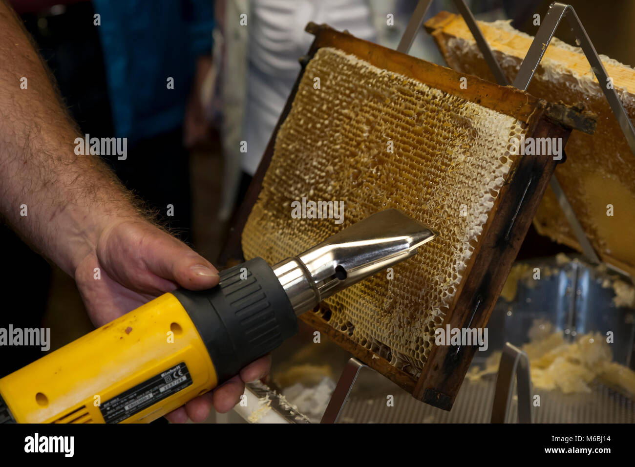 A honeycomb is uncapped with a hot air dryer. Honeycomb is heated with a Blower to melt the wax cover of the cells Stock Photo