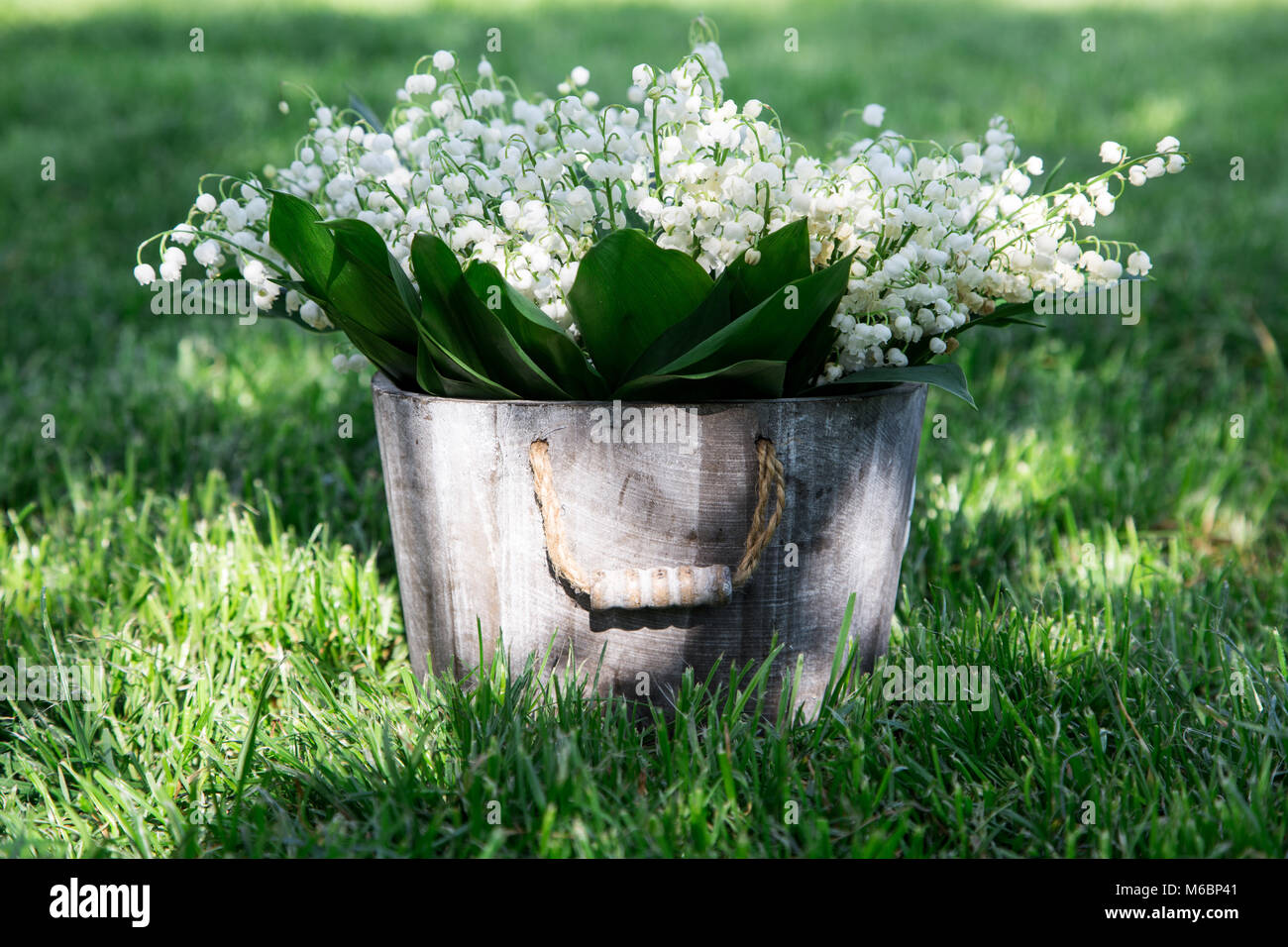 Bouquet of lilies of the valley in a basket. floral background with ...