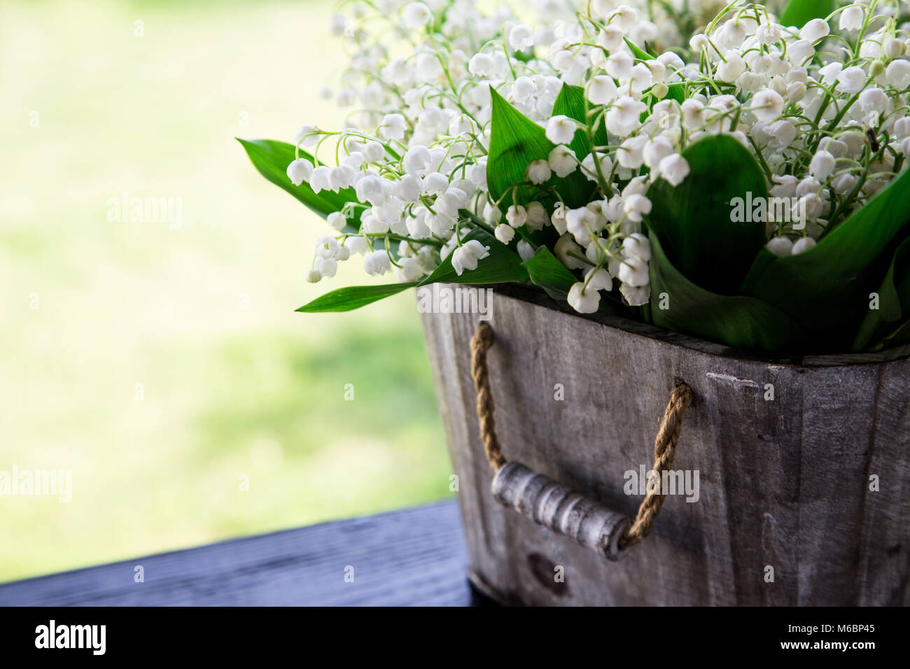 Bouquet of lilies of the valley in a basket. floral background with ...