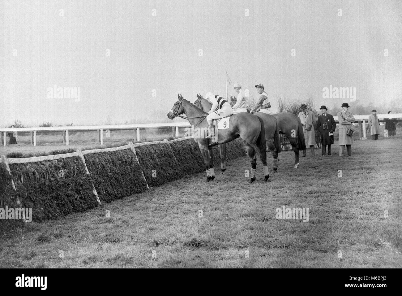 Some of the runners in the December Juvenile Hurdle Race at Sandown Park take a look at the new rubber-padded hurdles. Major Gerald Glover's Harry Way (no 9), Michael Scudamore up, is nearest camera. The padded hurdles are being given their first try-out on a southern racecourse. Stock Photo