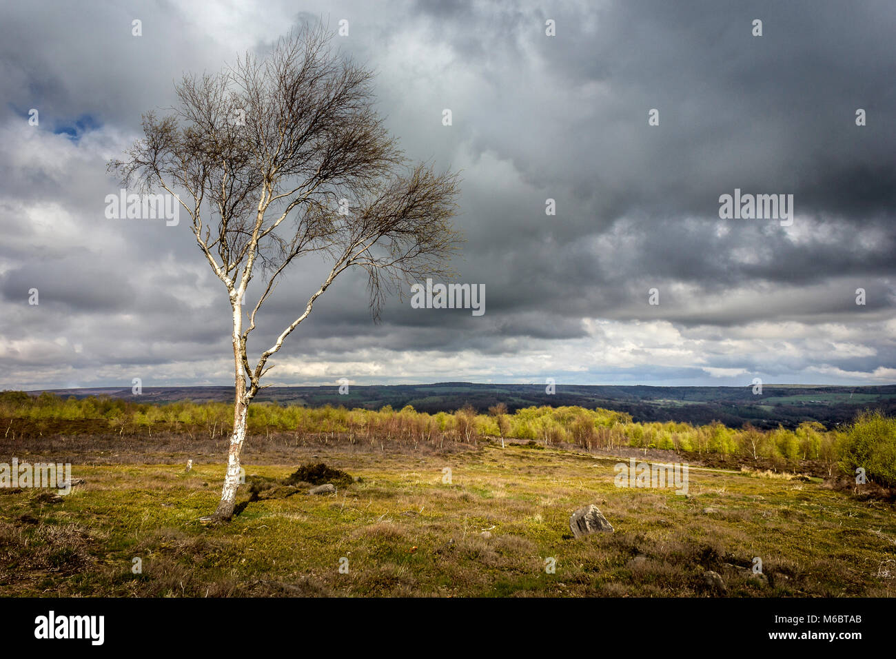 A storm approaches on Stanton Moor in the English Peak District Stock Photo